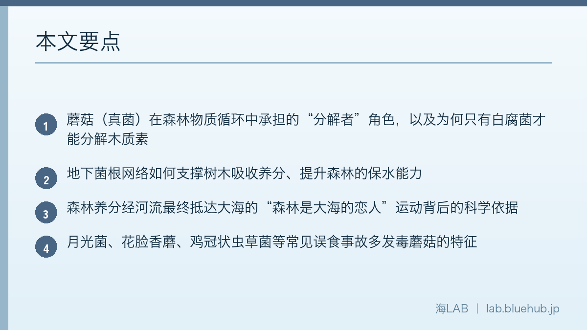 总结本文要点的图表