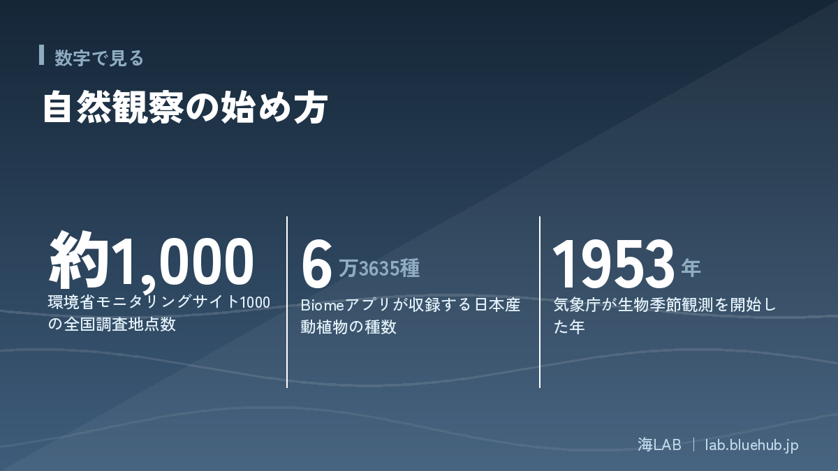 この記事の要点となる3つの数字をまとめた図版