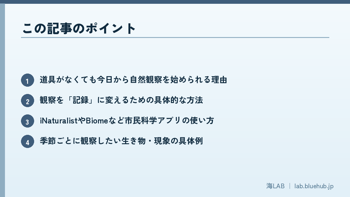 この記事のポイントを箇条書きでまとめた図版