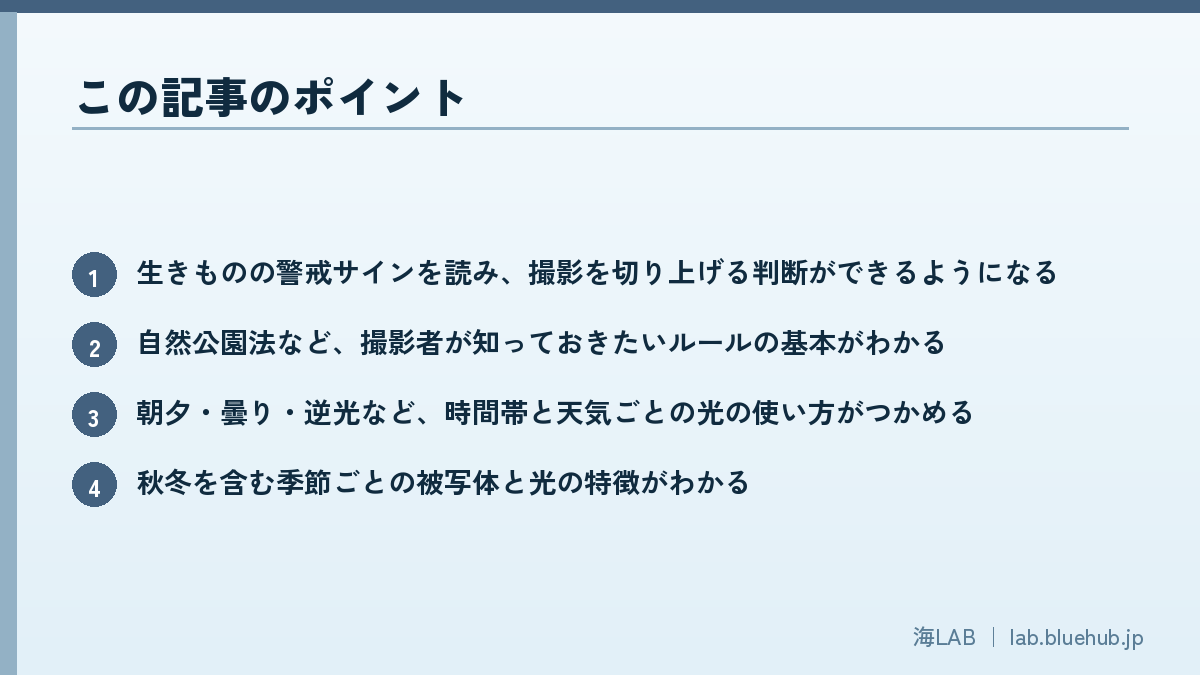 この記事のポイントを箇条書きでまとめた図版
