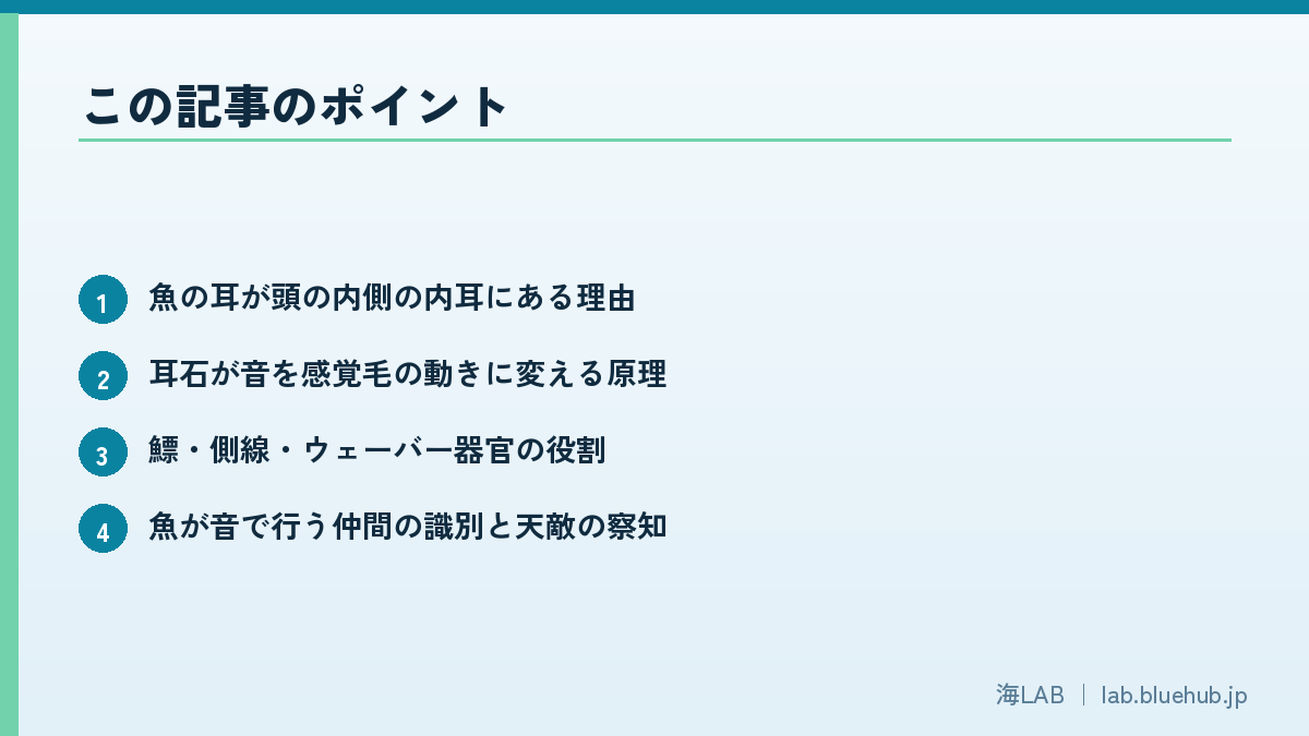 この記事のポイントを箇条書きでまとめた図版