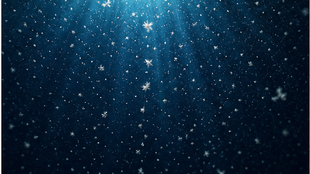 Marine snow sinking from phytoplankton in the water column