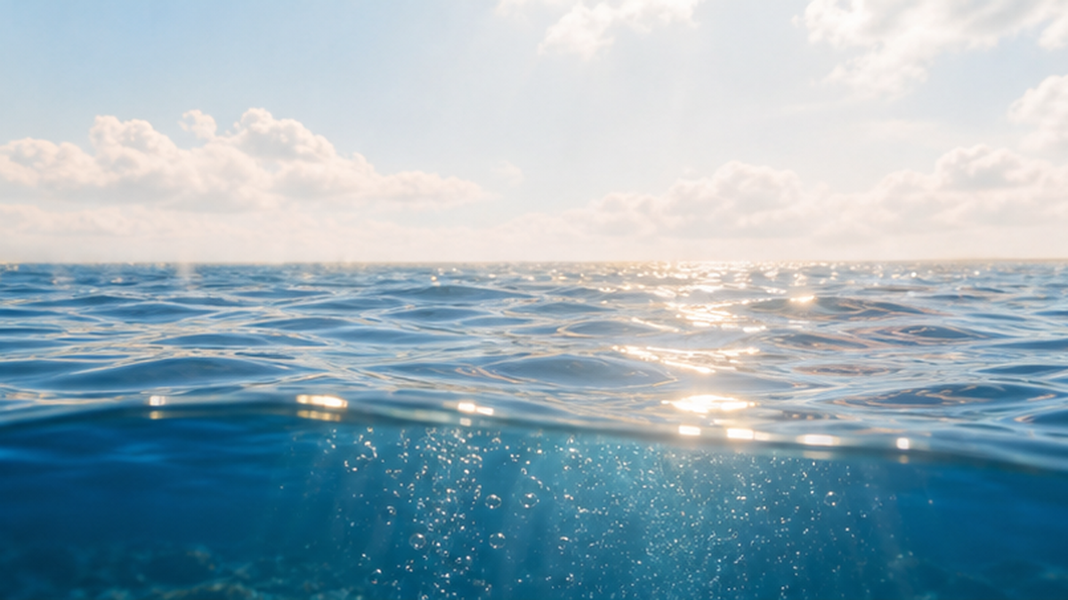 CO2 escaping from the sea surface to the atmosphere as sea surface temperature rises