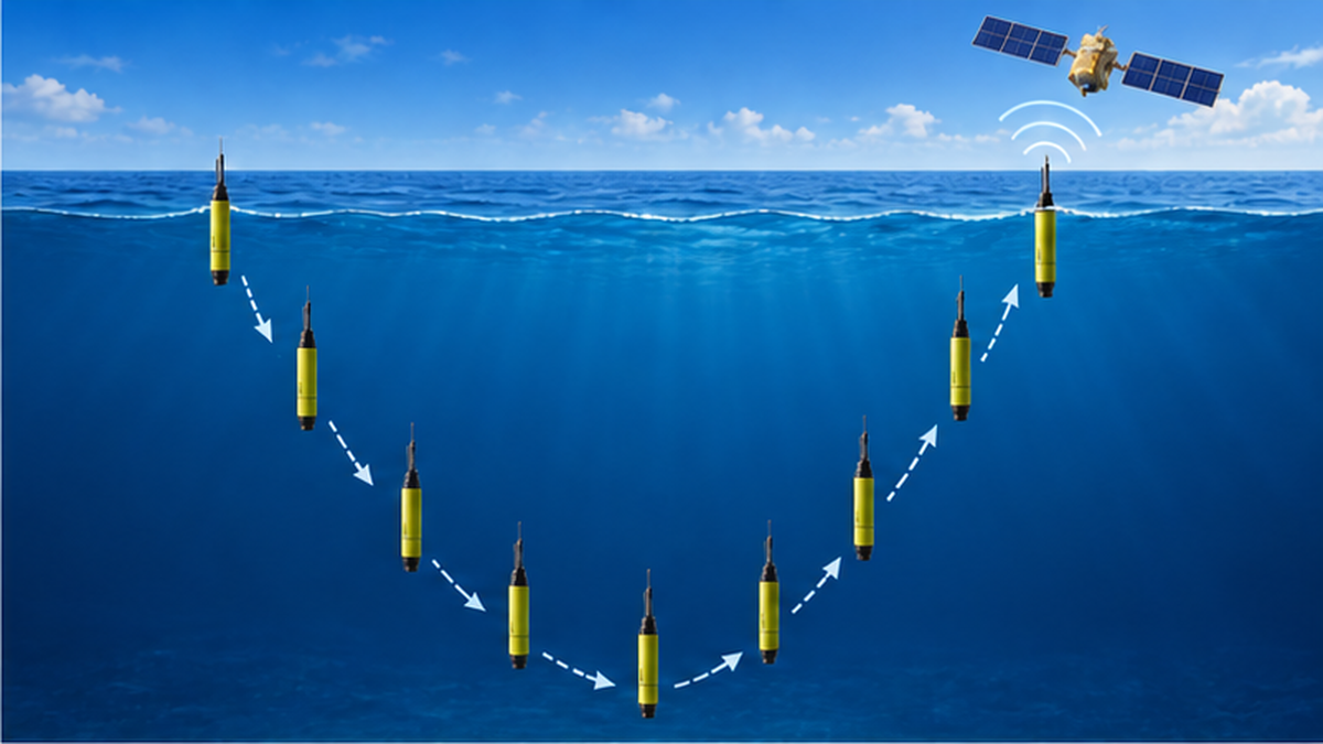 Argoフロートが海中を潜降・浮上して水温を測る仕組みの図解