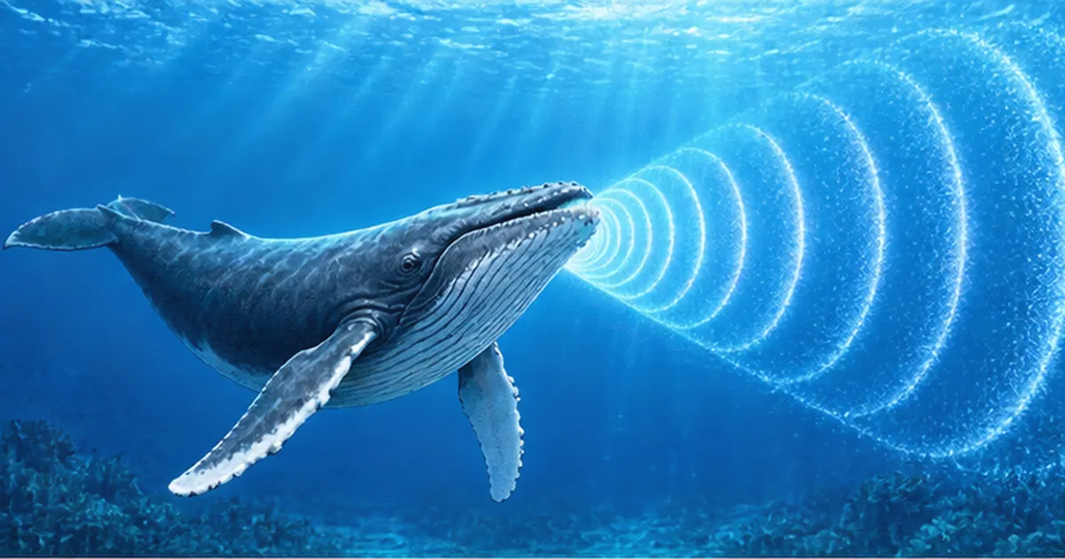 クジラの歌の仕組みと役割｜喉頭・文化・騒音