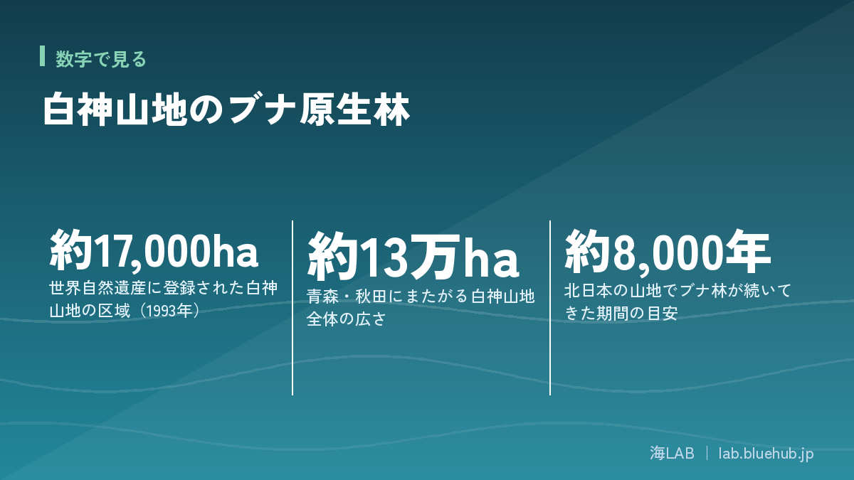 この記事の要点となる3つの数字をまとめた図版