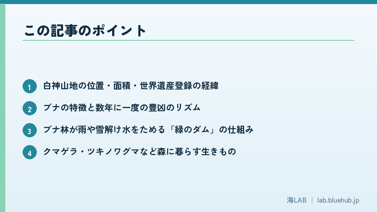 この記事のポイントを箇条書きでまとめた図版
