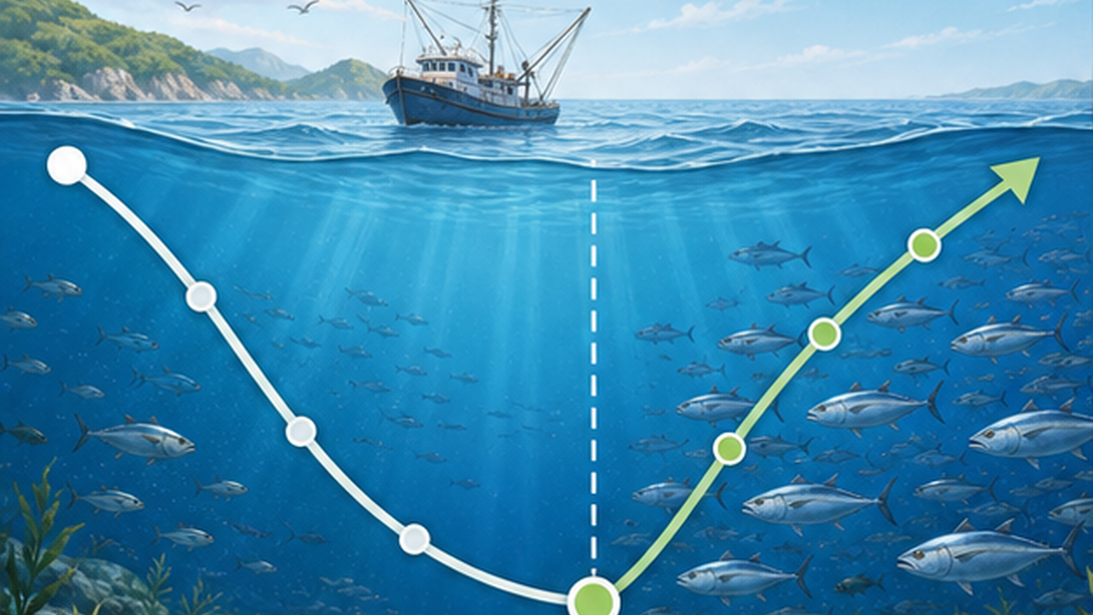 適切な資源管理によって魚の数が回復していく様子を示す図解