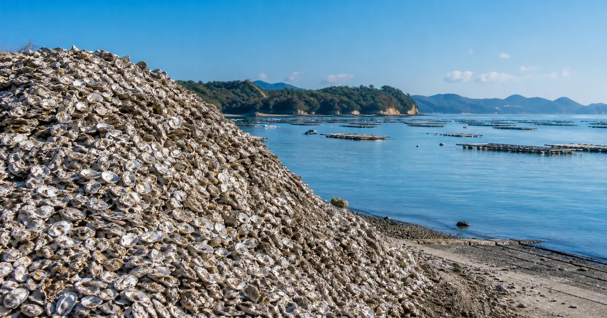 The Complete Guide to Oyster Shell Recycling | Turning Industrial Waste into Soil Conditioner, Fertilizer, and Road Material in the Seto Inland Sea