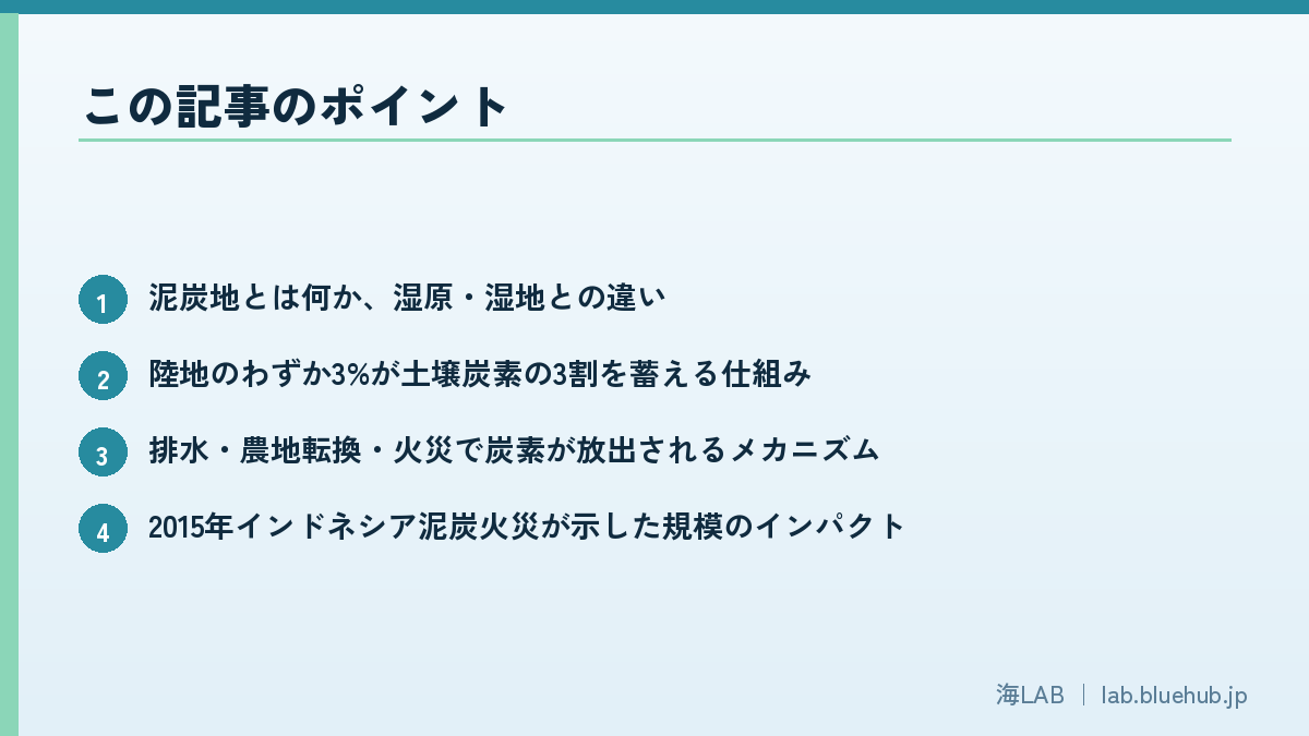 この記事のポイントを箇条書きでまとめた図版