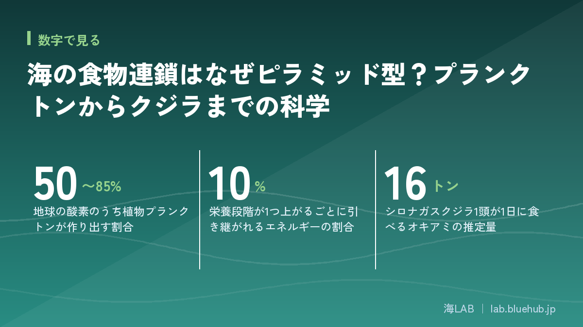 この記事の要点となる3つの数字をまとめた図版