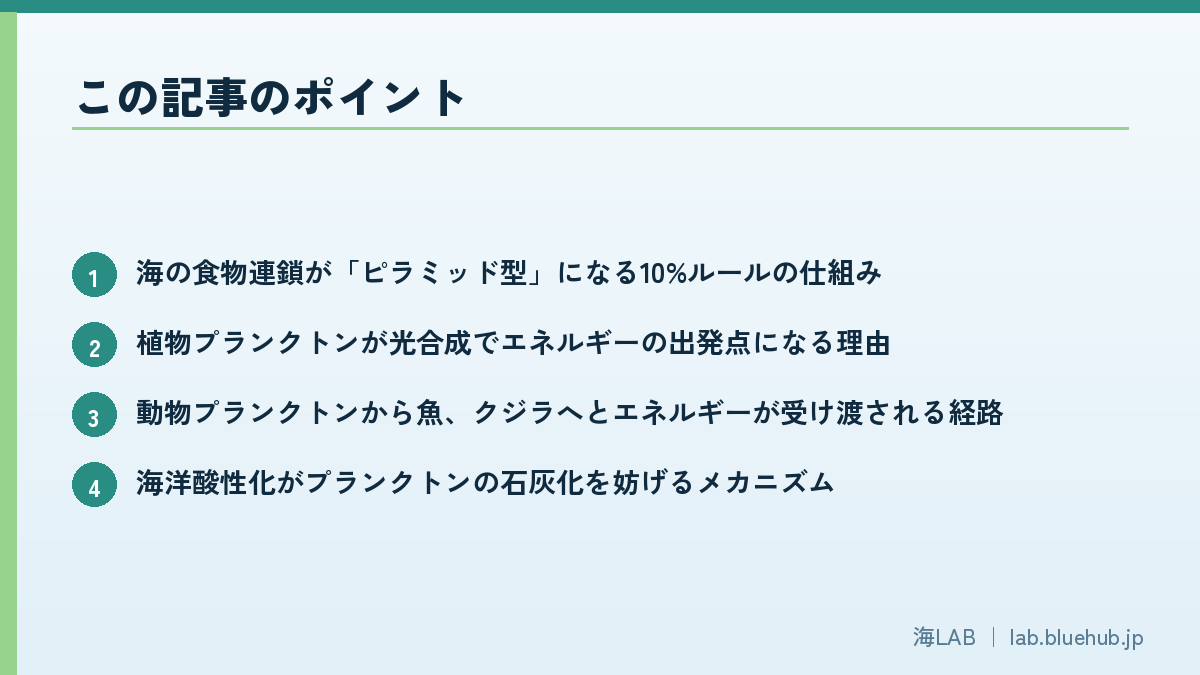 この記事のポイントを箇条書きでまとめた図版