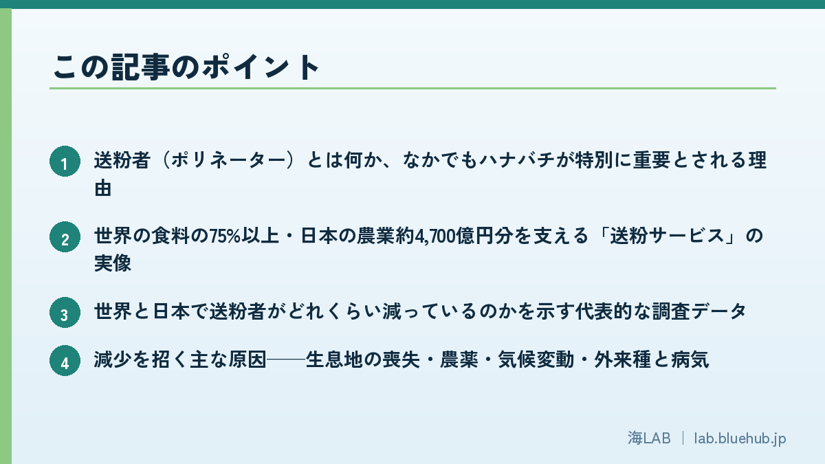 この記事のポイントを箇条書きでまとめた図版