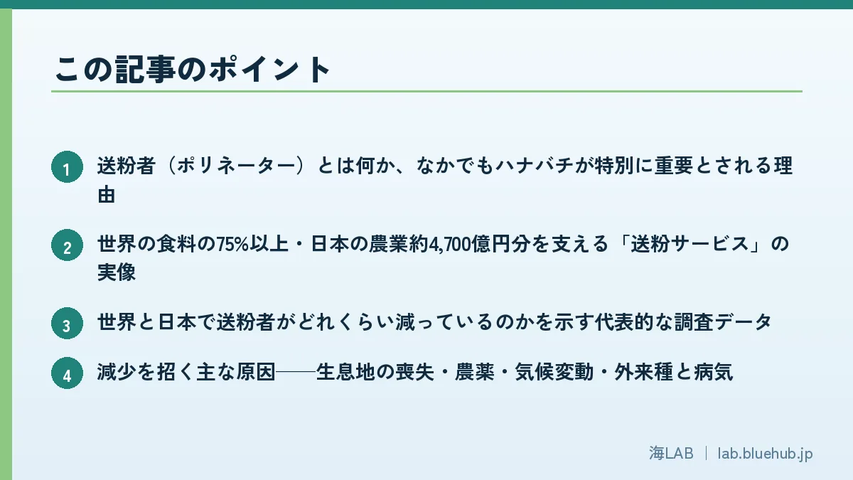 この記事のポイントを箇条書きでまとめた図版