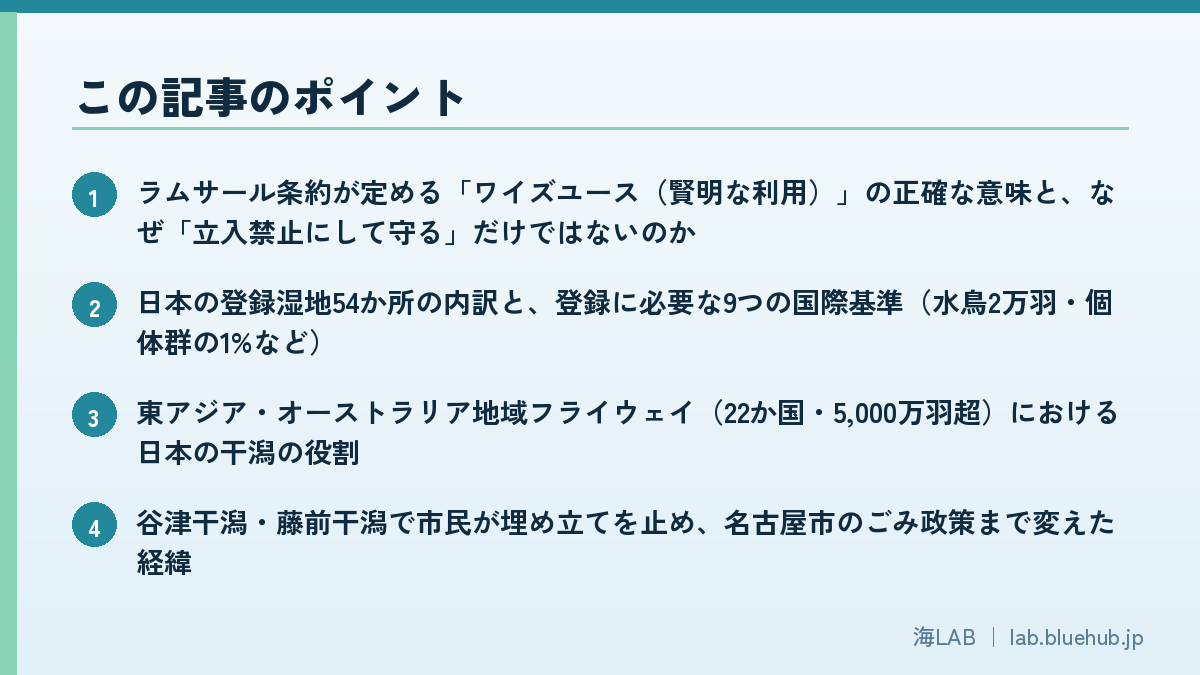 この記事のポイントを箇条書きでまとめた図版