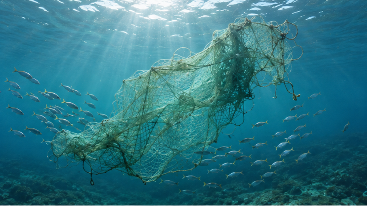 海中に漂う放棄された漁網(ゴーストネット)と、その周辺を泳ぐ魚の群れ