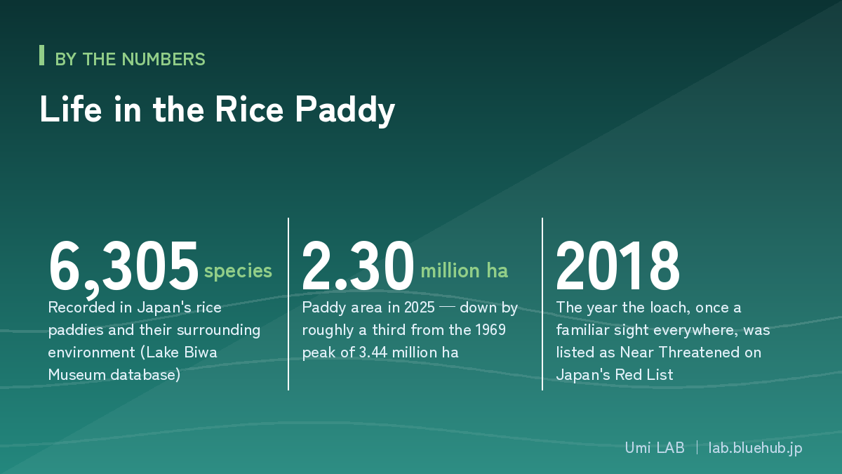Chart summarising the three key figures on Life in the Rice Paddy