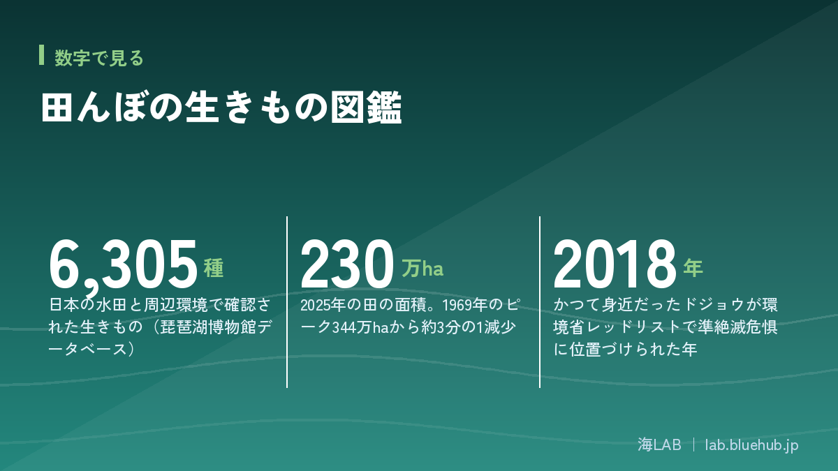 田んぼの生きもの図鑑の要点となる3つの数字をまとめた図版