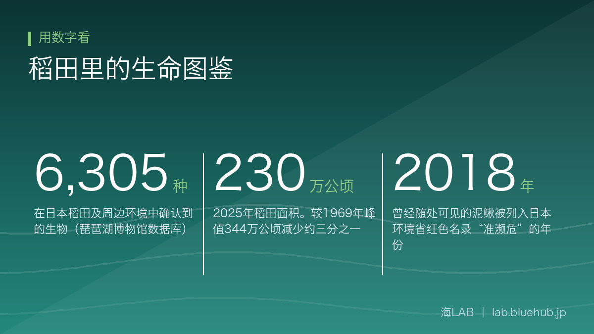 汇总稻田里的生命图鉴三个关键数字的图示