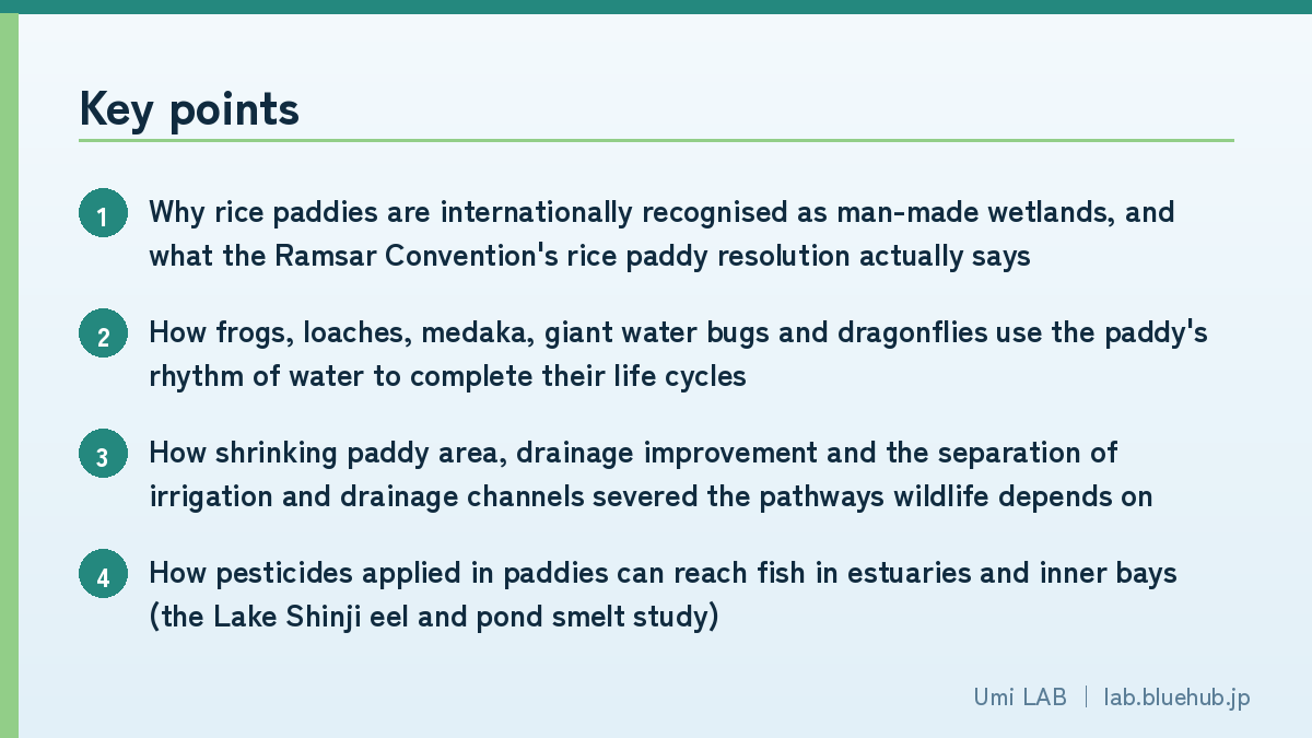 Chart summarising the key points of this article