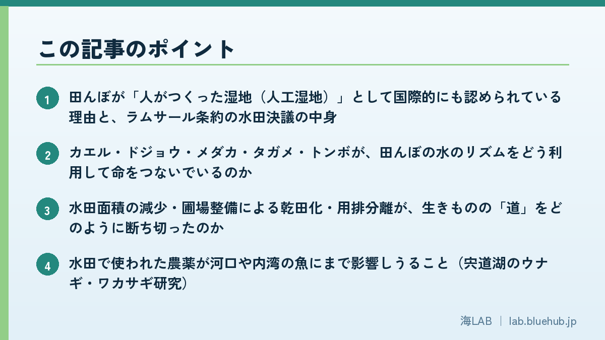 この記事のポイントを箇条書きでまとめた図版