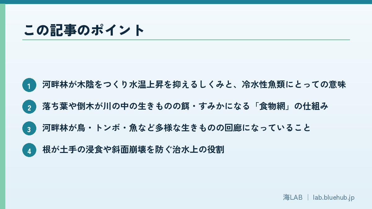 この記事のポイントを箇条書きでまとめた図版