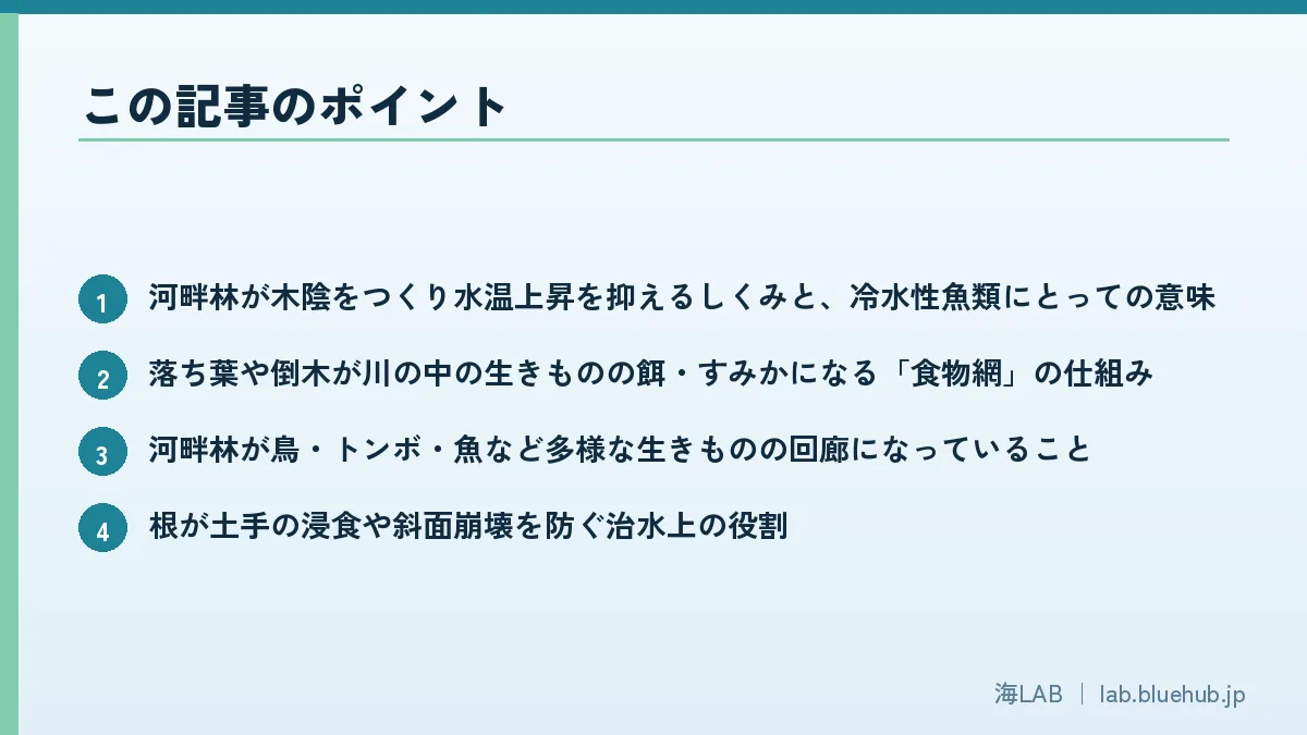 この記事のポイントを箇条書きでまとめた図版