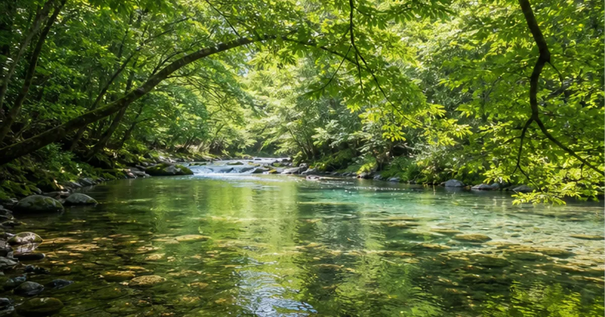 河畔林の役割とは｜水温を下げ落ち葉が生きものを養い岸を守る川辺の森