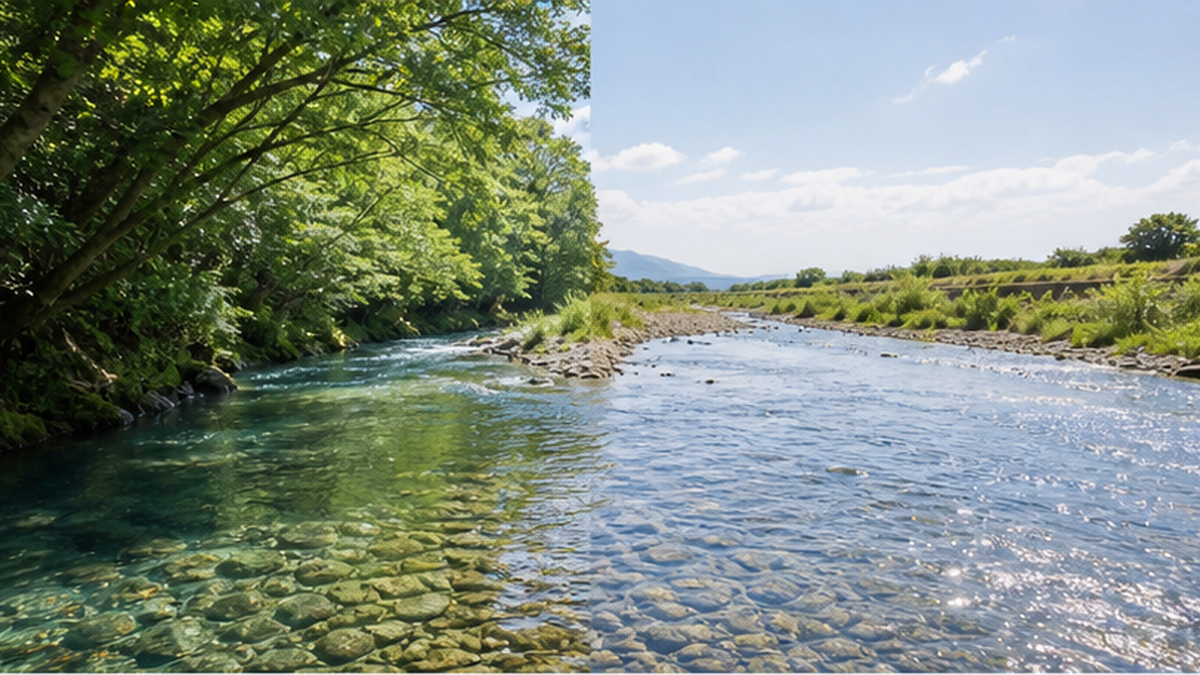 樹冠に覆われた川と、開けた川の水温差を示すイメージ図