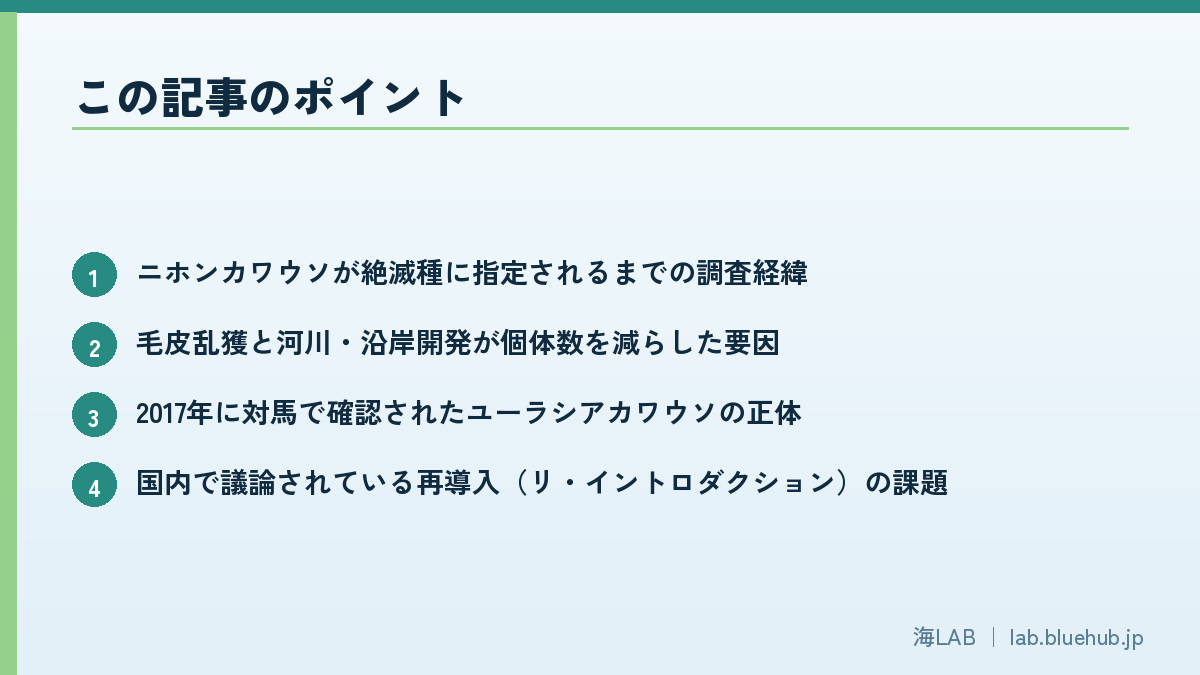 この記事のポイントを箇条書きでまとめた図版