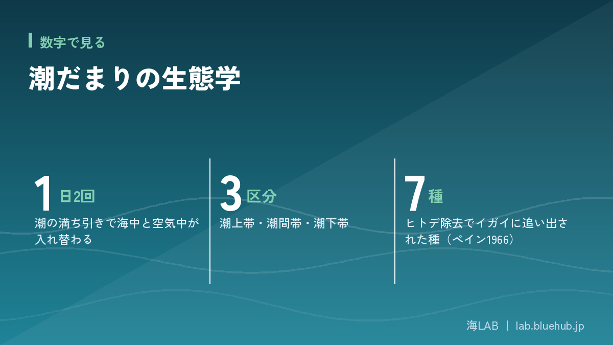この記事の要点となる3つの数字をまとめた図版