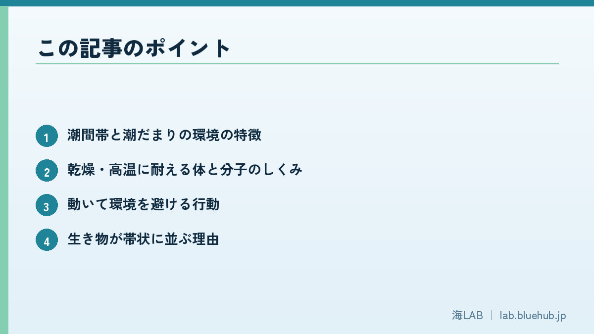 この記事のポイントを箇条書きでまとめた図版