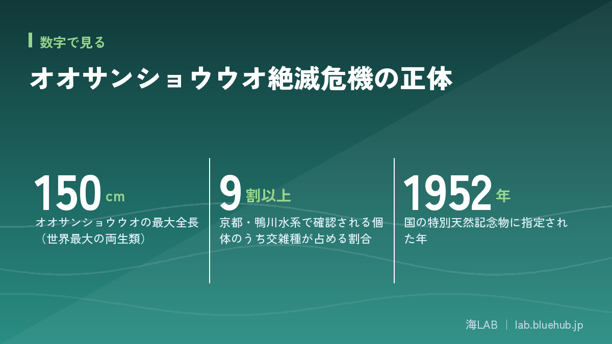 この記事の要点となる3つの数字をまとめた図版