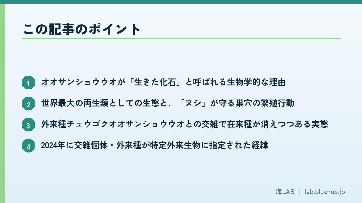 この記事のポイントを箇条書きでまとめた図版