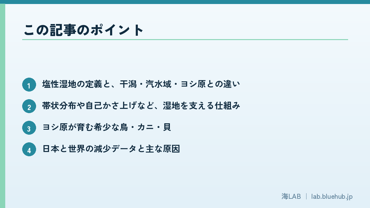 この記事のポイントを箇条書きでまとめた図版