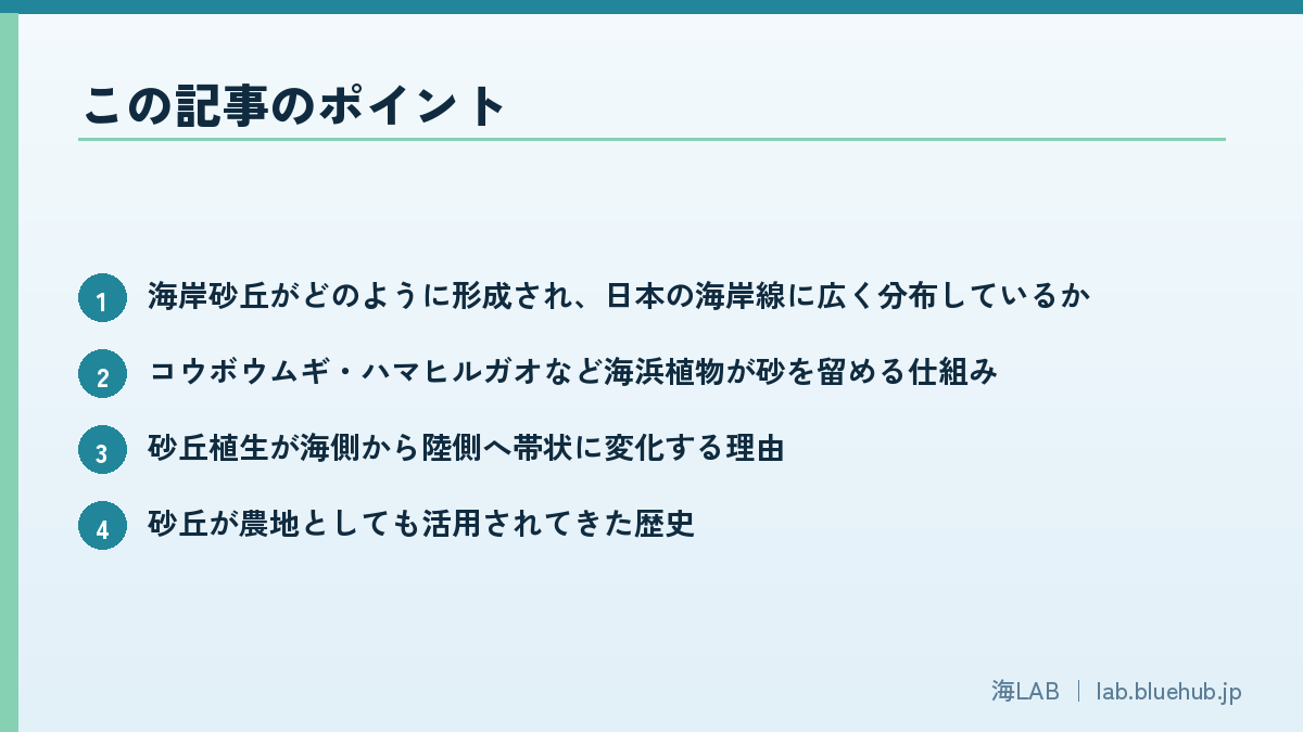 この記事のポイントを箇条書きでまとめた図版