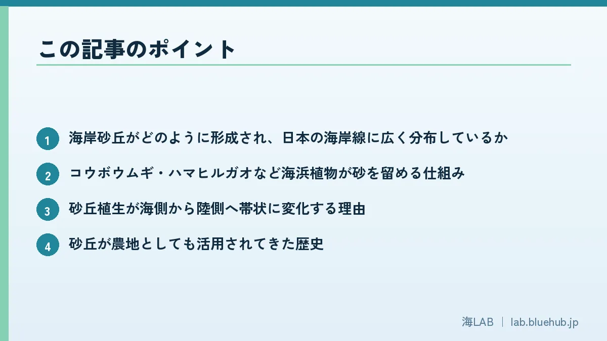 この記事のポイントを箇条書きでまとめた図版