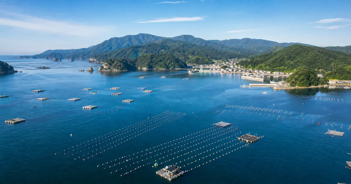 三陸の水産復興の歩み ― ワカメ・ホタテ・カキ養殖再開からブランド化まで