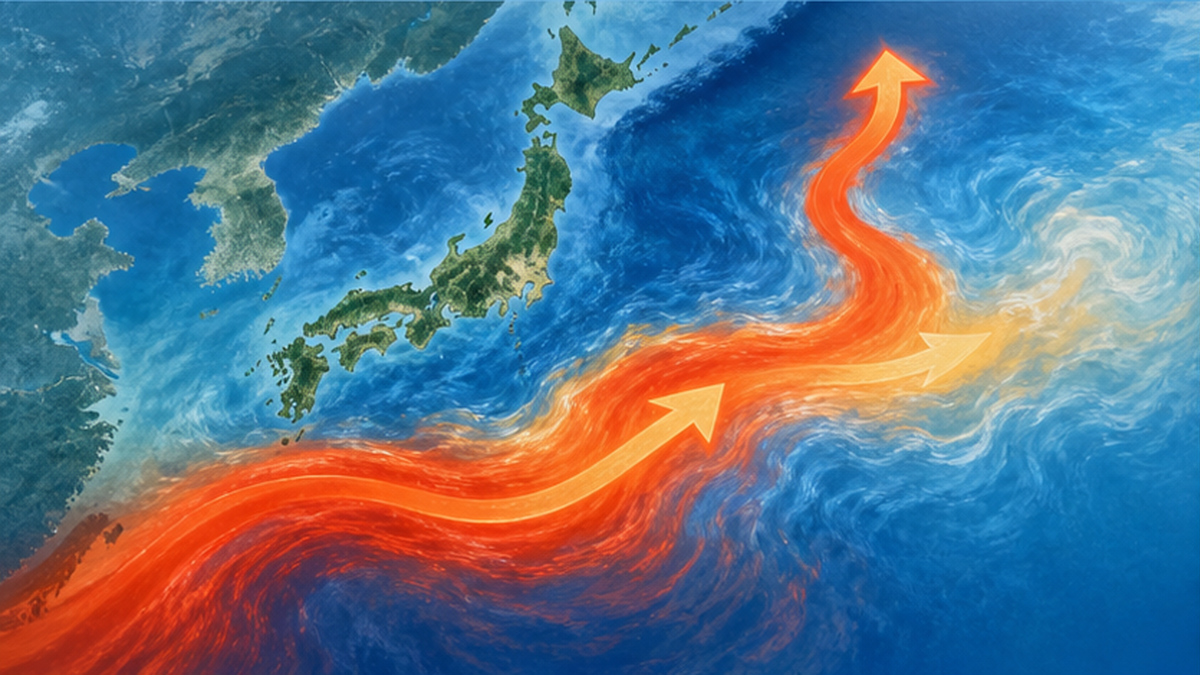 黒潮続流が北へ蛇行し、三陸沖の海水温が上昇する様子を示した海流図