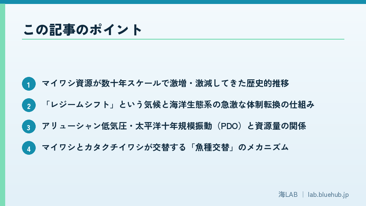 この記事のポイントを箇条書きでまとめた図版