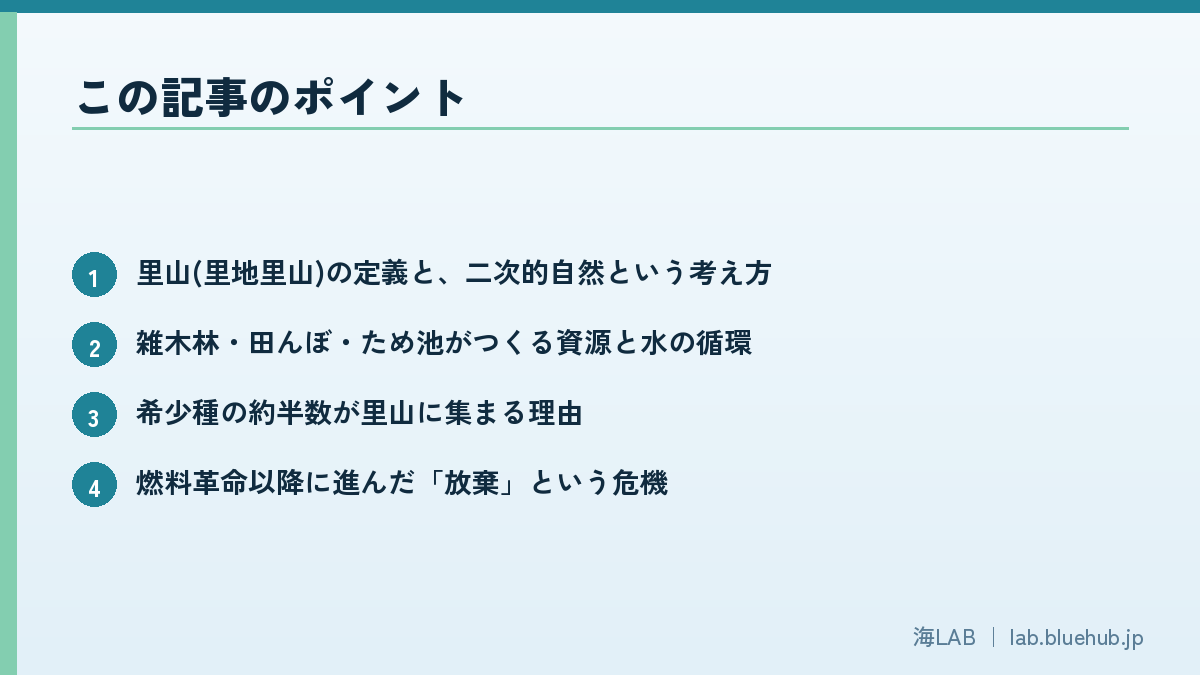 この記事のポイントを箇条書きでまとめた図版