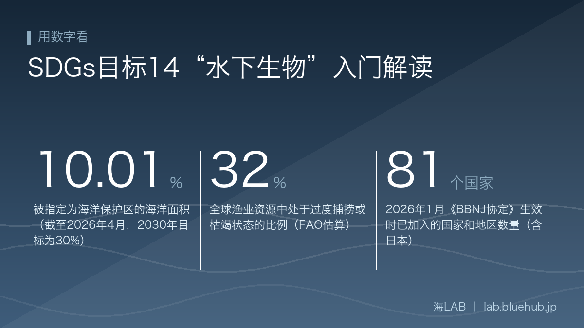 总结本文三个关键数字的图表