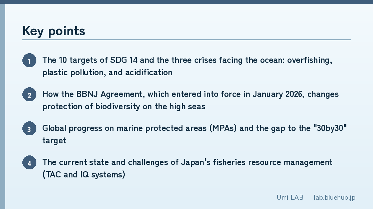 Infographic summarizing the key points of this article as a bulleted list
