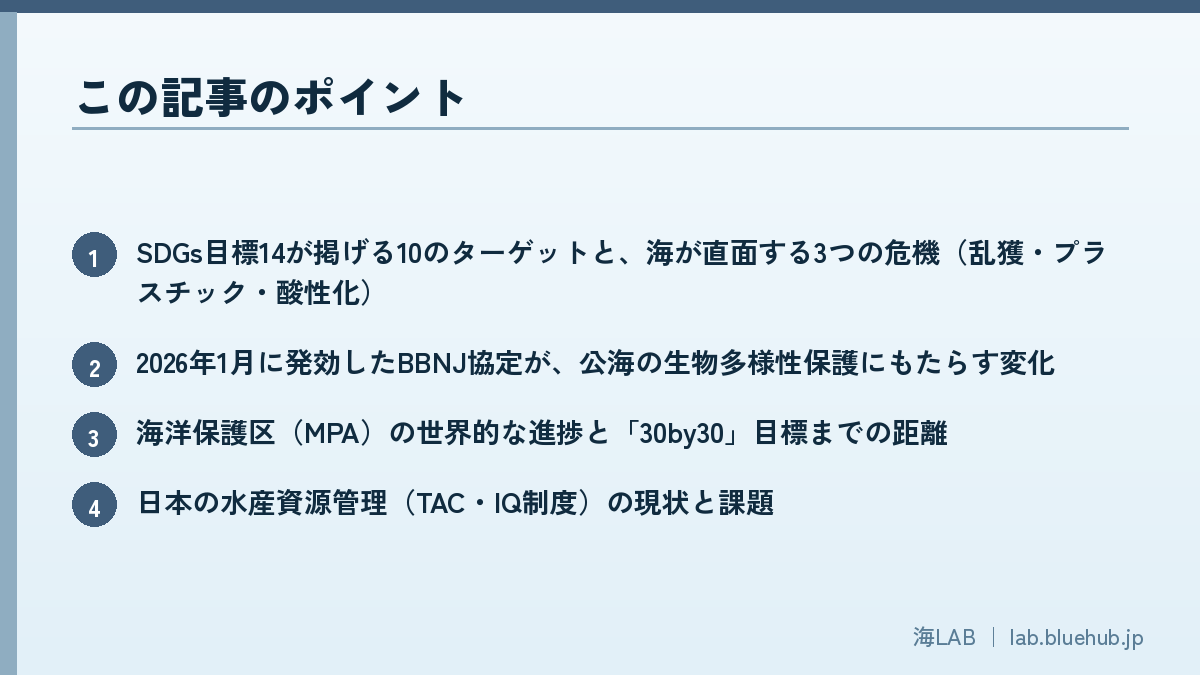 この記事のポイントを箇条書きでまとめた図版