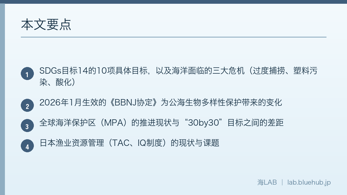 以要点列表形式总结本文重点的图表