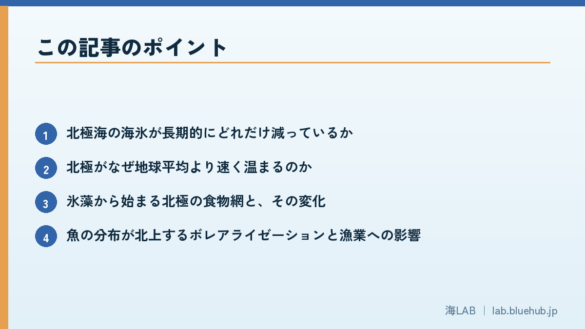 この記事のポイントを箇条書きでまとめた図版