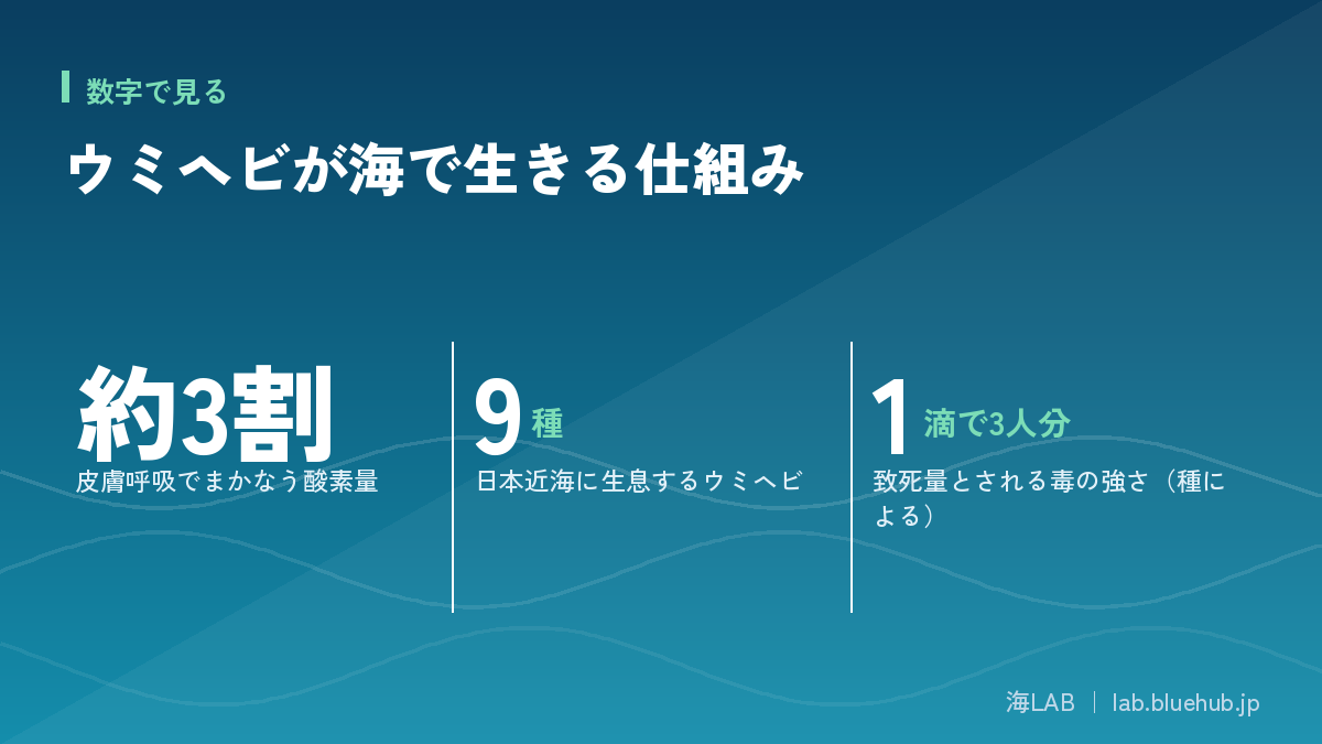 この記事の要点となる3つの数字をまとめた図版