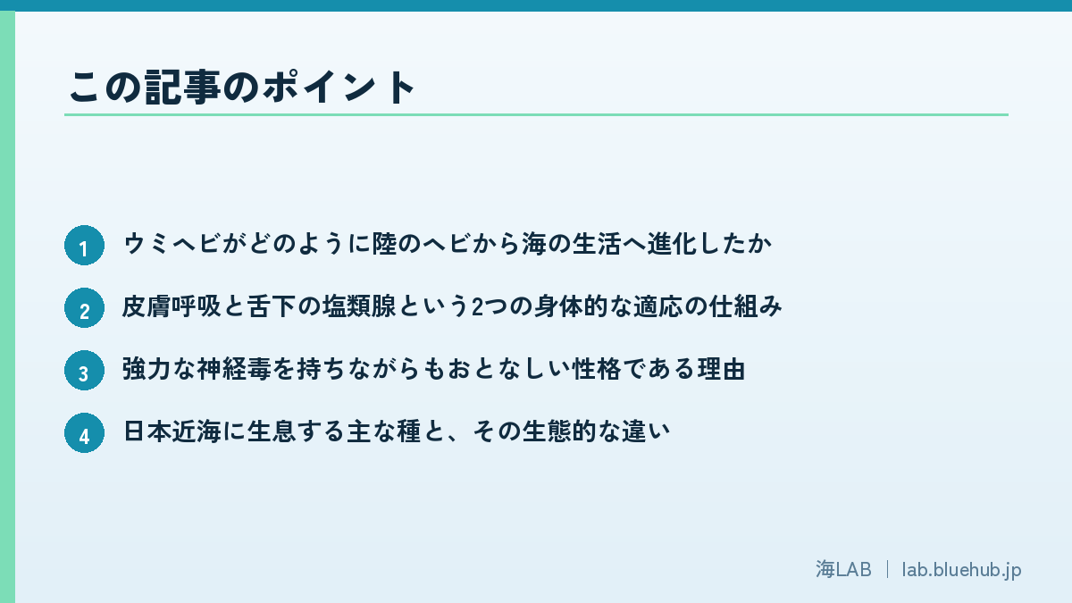この記事のポイントを箇条書きでまとめた図版