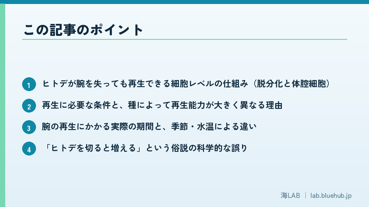 以要点形式总结本文内容的图版