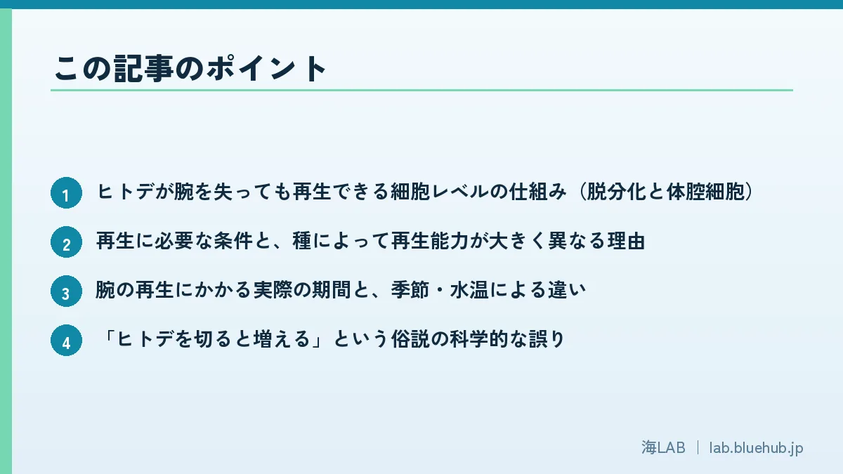 この記事のポイントを箇条書きでまとめた図版